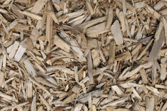 biomass boilers Warehorne